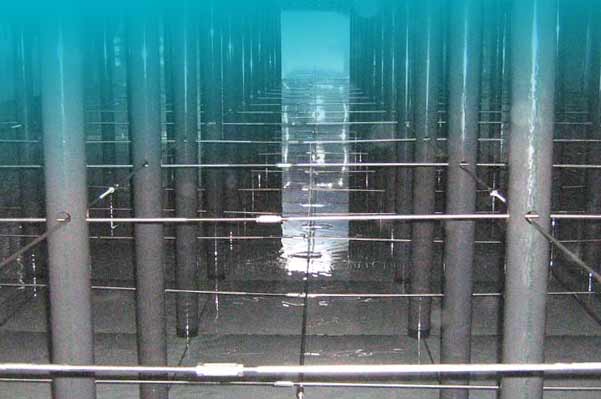 WATER TANK DISINFECTION
